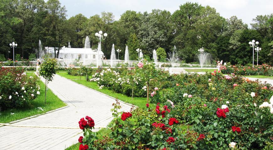 Главный ботанический сад им. Н.В. Цицина в Москве