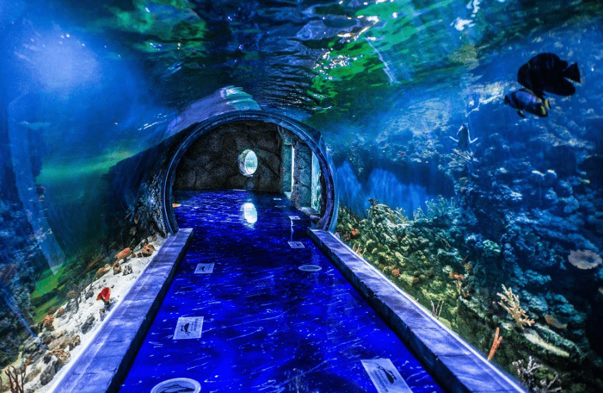 Крокус Сити Океанариум - развлекательный центр на метро Мякинино